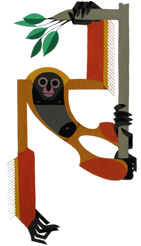 Kids Monkey Around Artwork