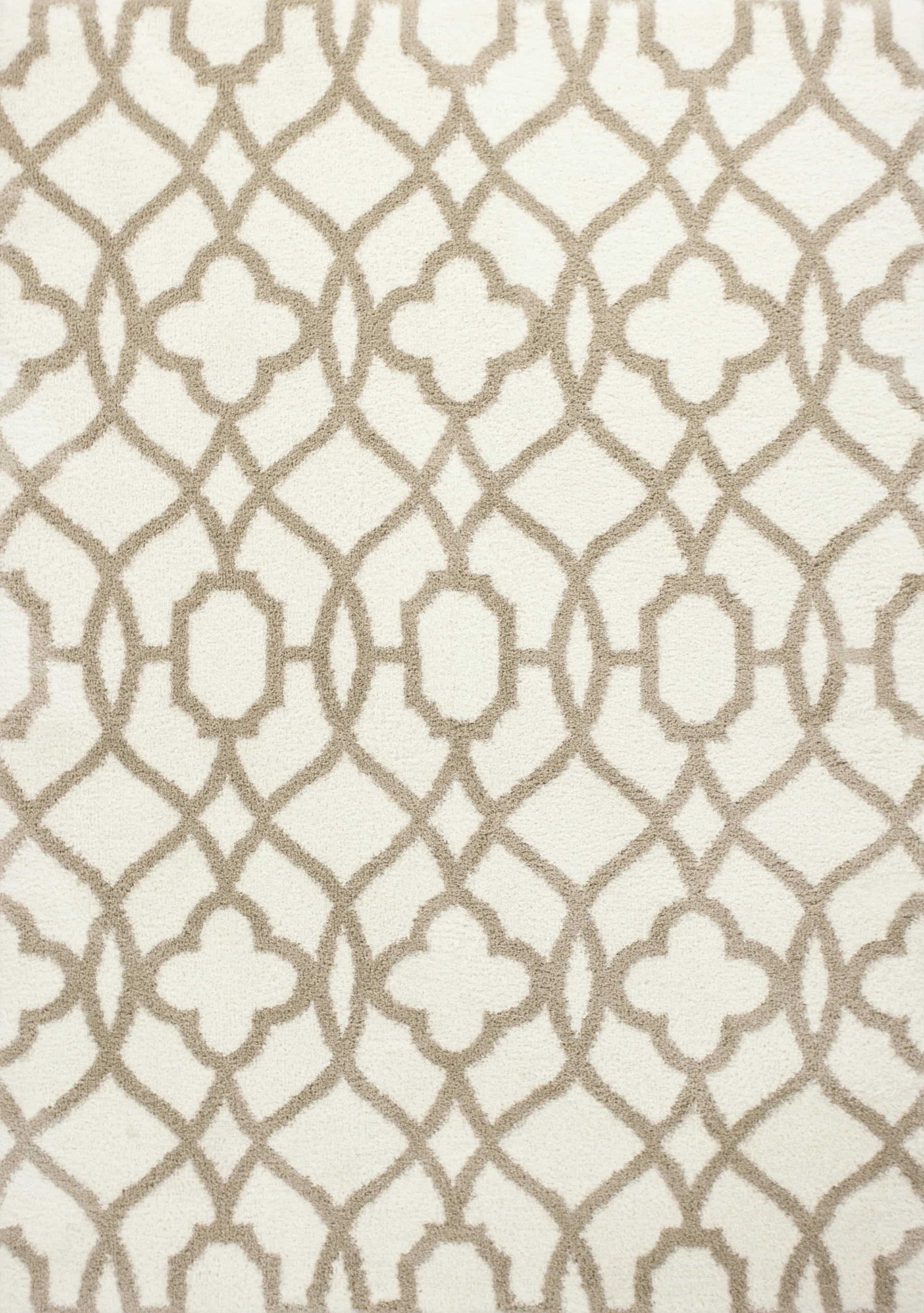 Shelnola Ivory/Beige 7'10 x 10'6 Rug - Image 1