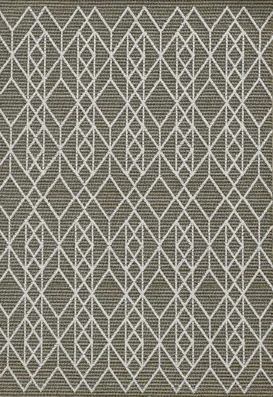 Leopole Gray 5' x 7'6 Indoor/Outdoor Rug