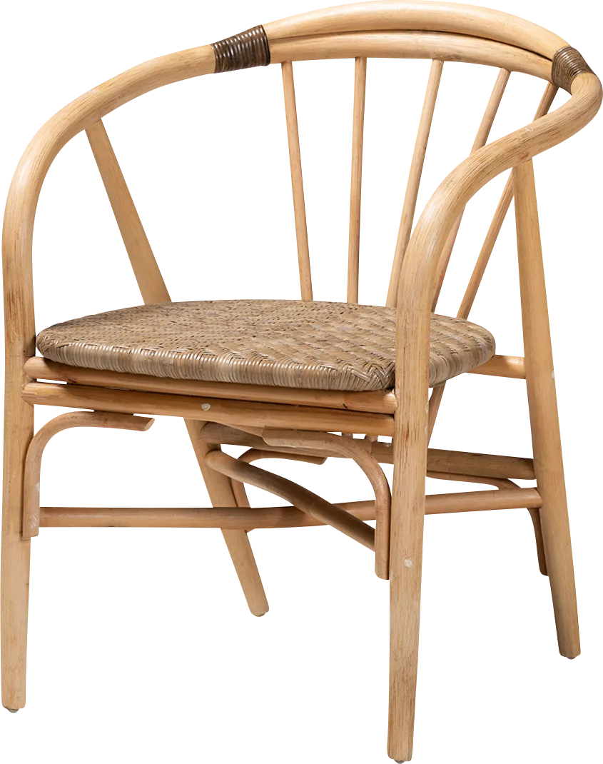 Colmillo Brown Arm Chair - Thumbnail - Image 1