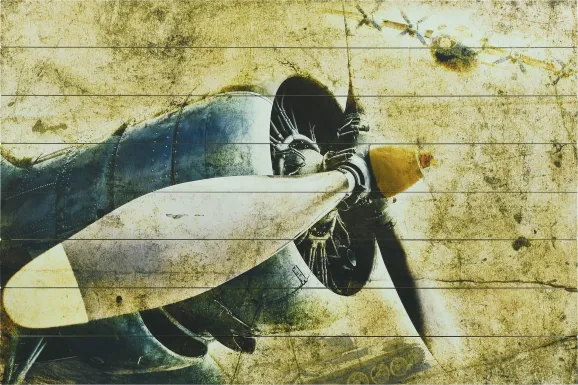 Alizeh Plane Artwork