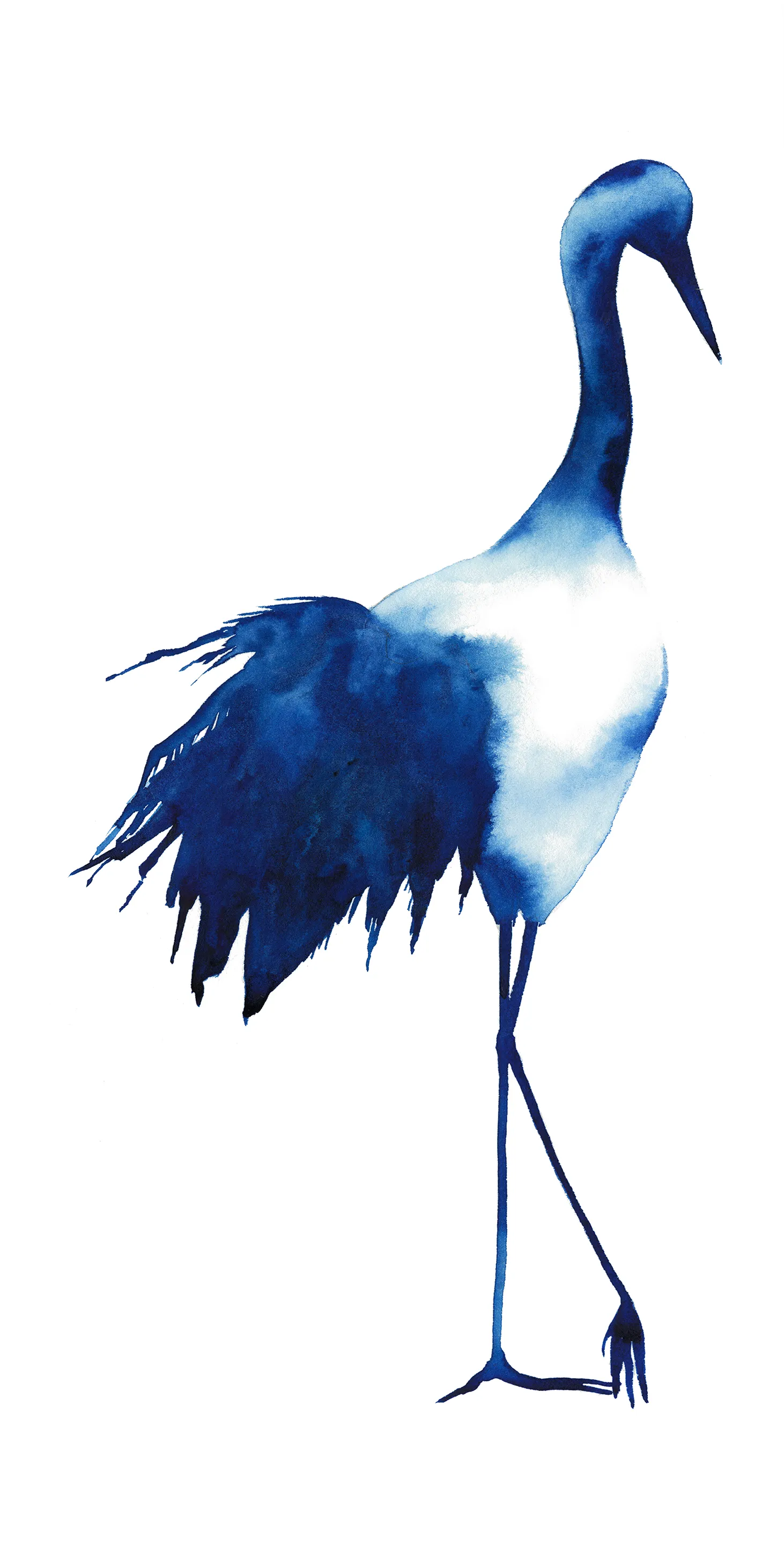 Doli I Artwork - Thumbnail - Image 1