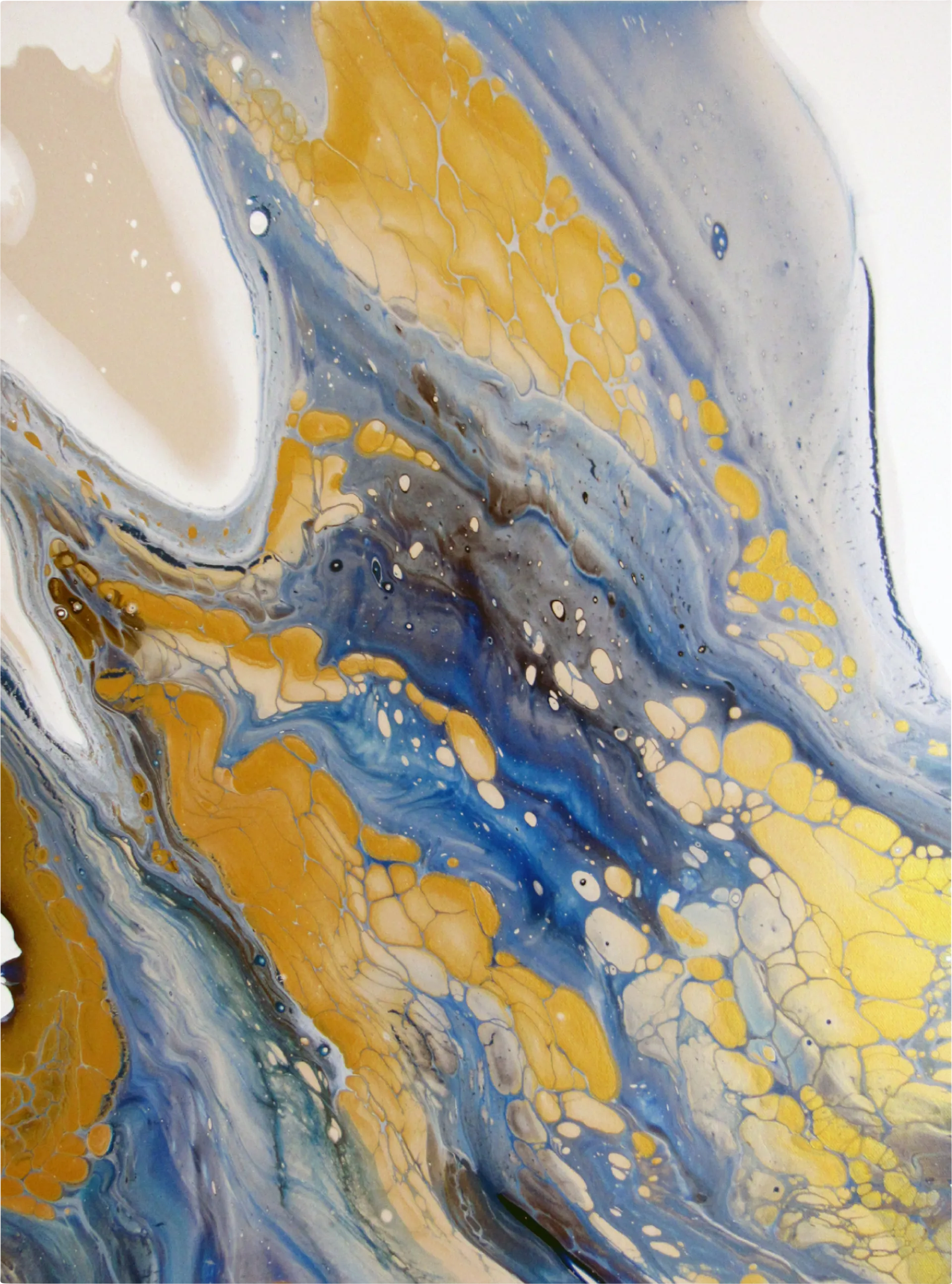 Raw Fusion Artwork - Image 1