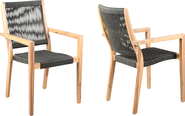 Outdoor Borbeck Black Arm Chair, Set of 2