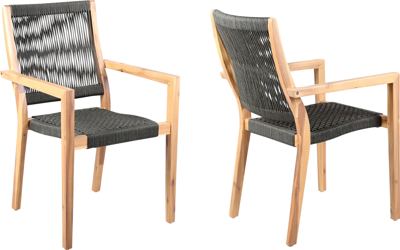 Outdoor Borbeck Black Arm Chair, Set of 2