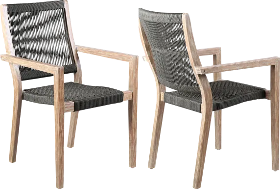 Outdoor Borbeck Black Arm Chair, Set of 2