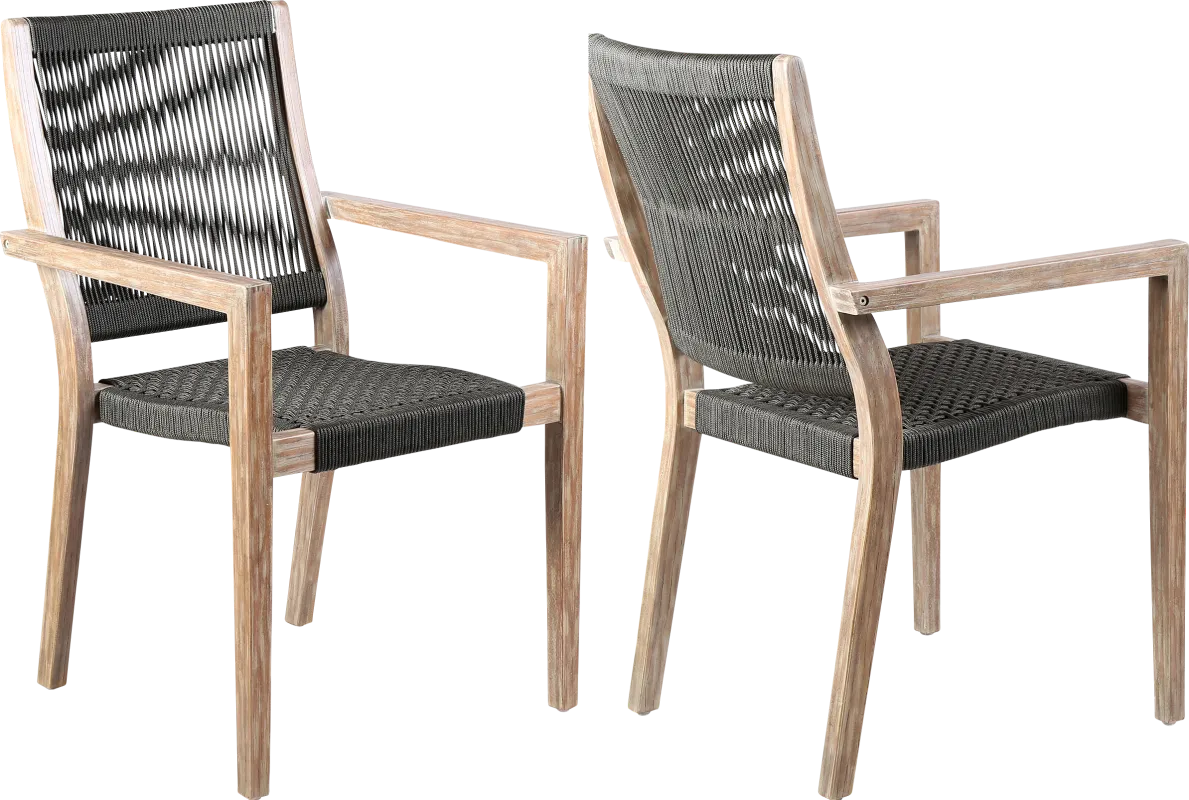 Outdoor Borbeck Black Arm Chair, Set of 2