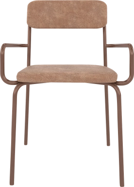 Donateil Brown Arm Chair