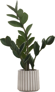 Neotropical Green Artificial ZZ Plant