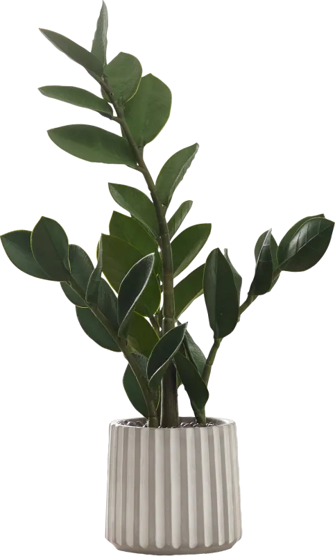 Neotropical Green Artificial ZZ Plant