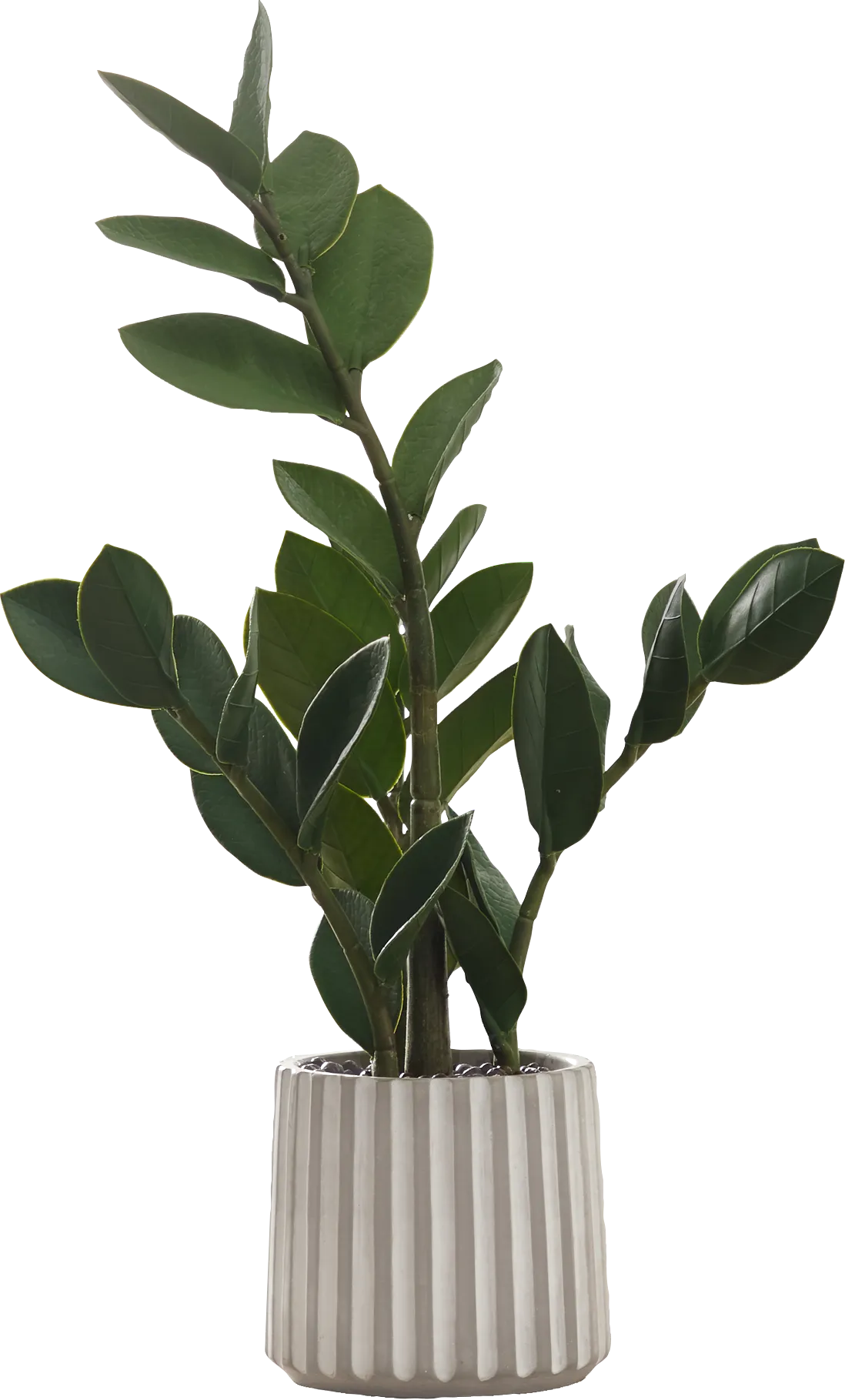 Neotropical Green Artificial ZZ Plant - Image 1