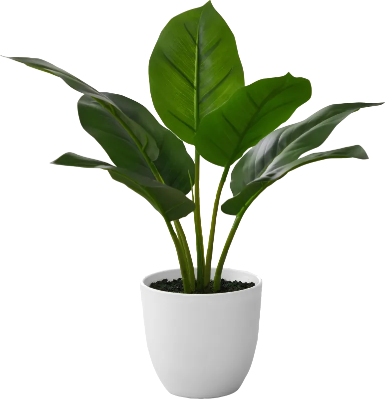 Coastline Green Artificial Aureum Plant