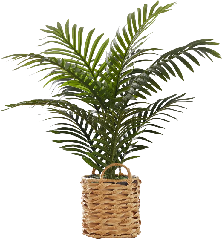 Bromeliad Green Artificial Palm Plant
