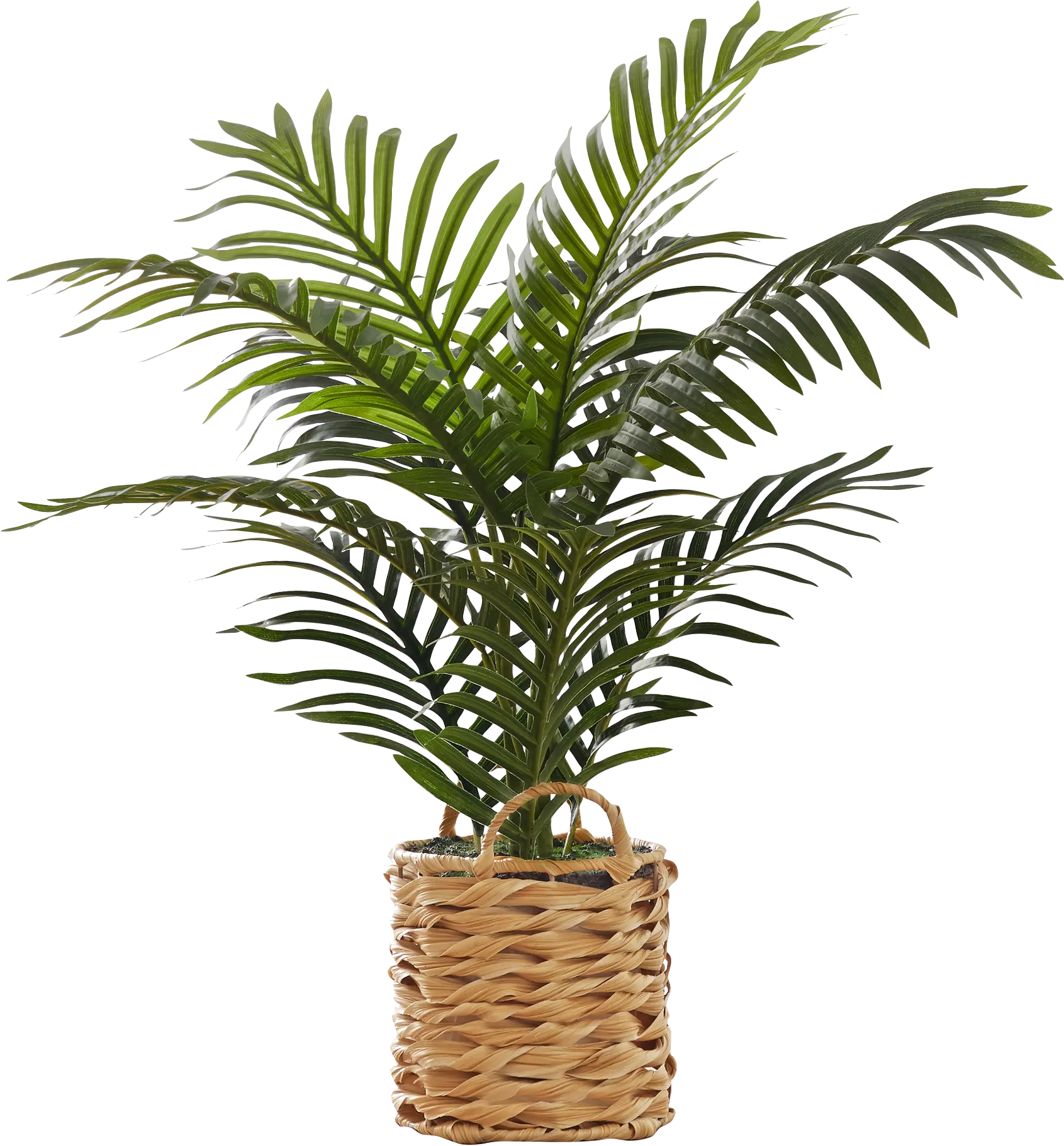 Bromeliad Green Artificial Palm Plant