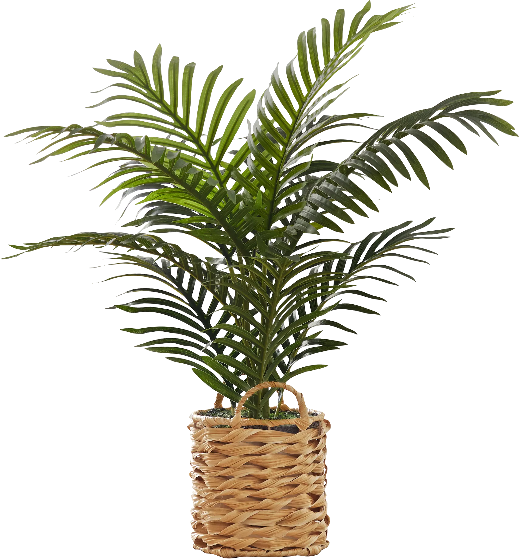 Bromeliad Green Artificial Palm Plant - Image 1