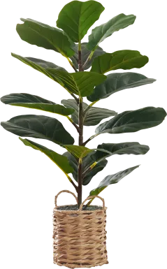 Ketembilla Green Artificial Fiddle Tree