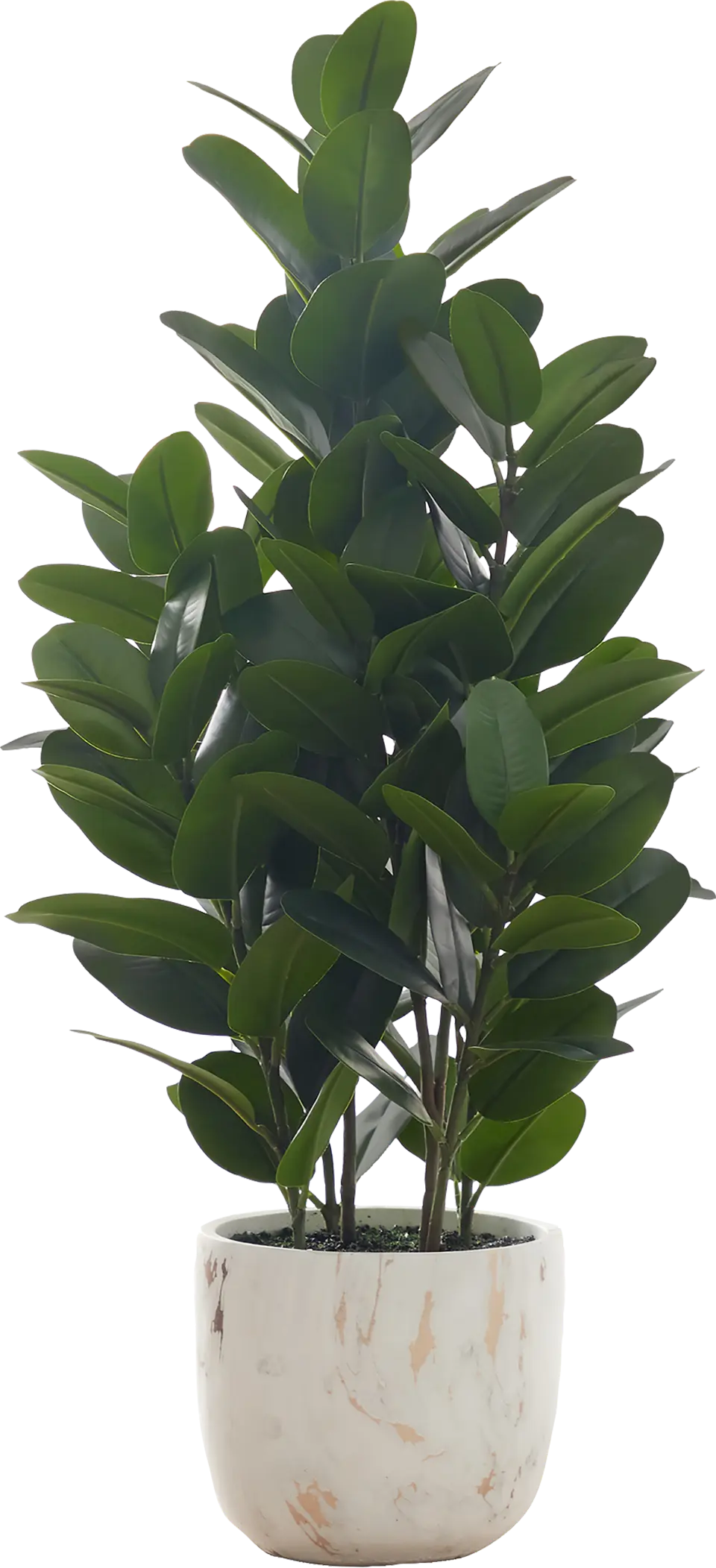 Achene Green Artificial Garcienia Tree