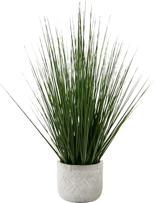 Calamondin Green Artificail Grass Plant