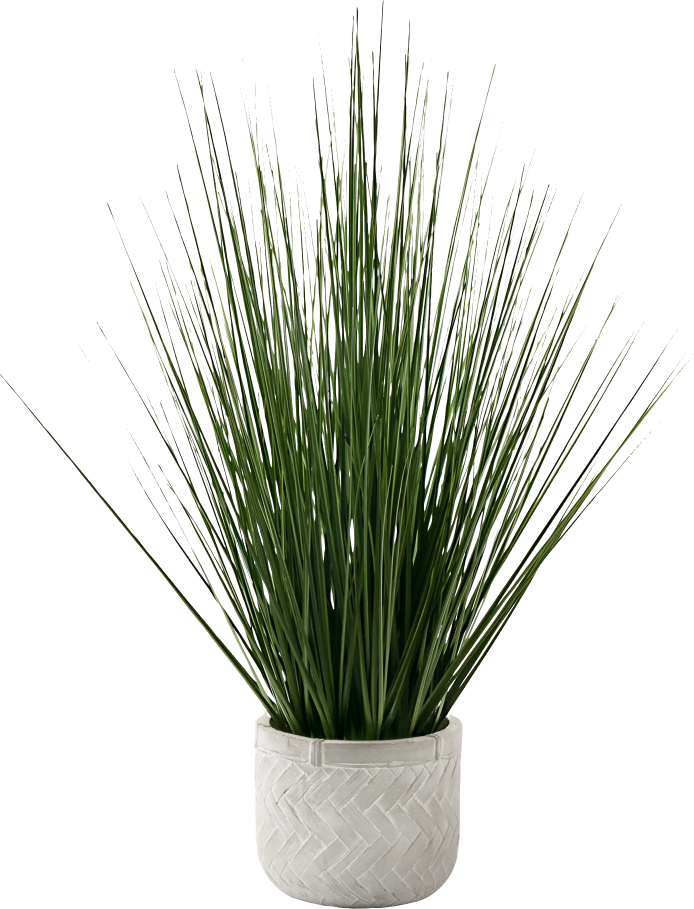 Calamondin Green Artificail Grass Plant - Image 1