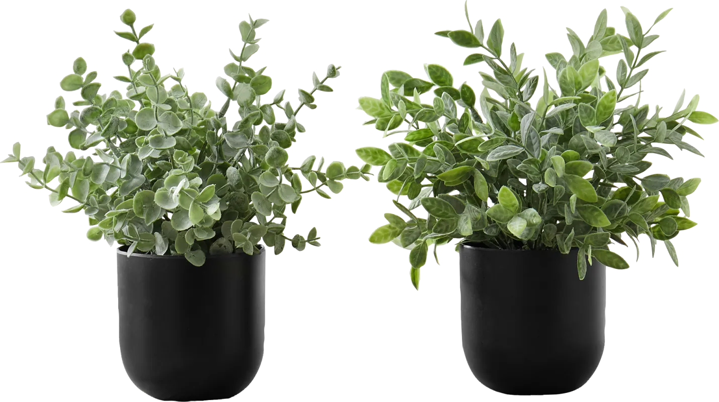 Paleotropic Green Artificial Eucalyptus Plant, Set of 2