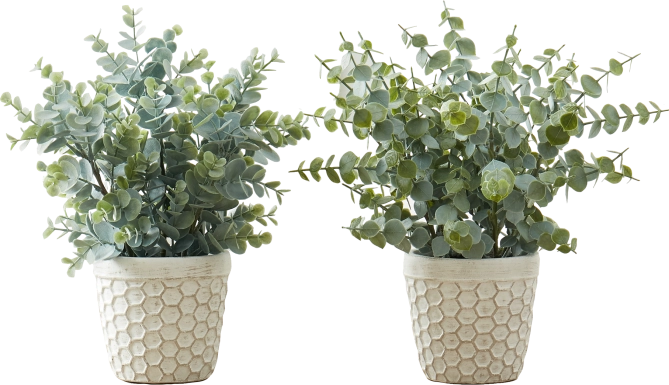 Waterberg Green Artificial Eucalyptus Plant, Set of 2