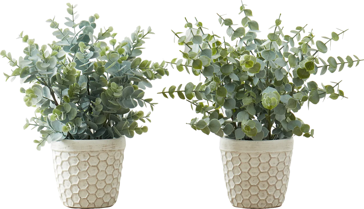 Waterberg Green Artificial Eucalyptus Plant, Set of 2