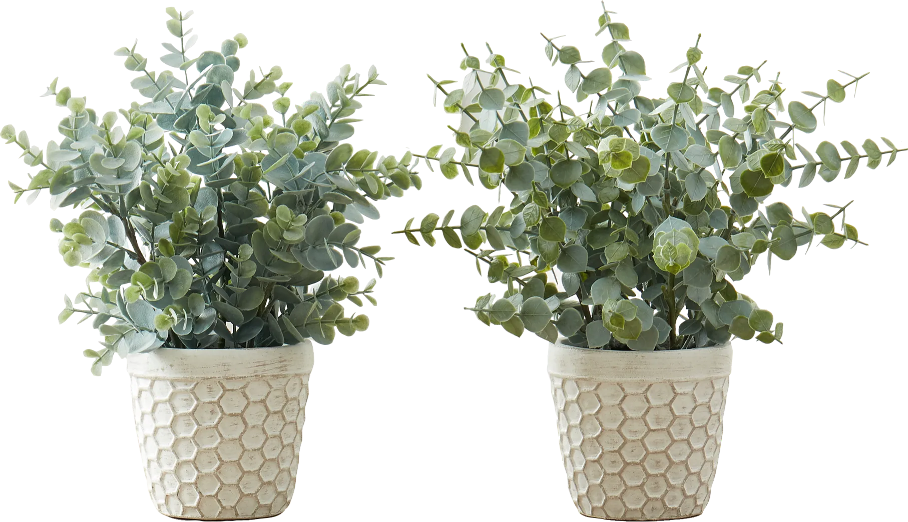 Waterberg Green Artificial Eucalyptus Plant, Set of 2 - Image 1