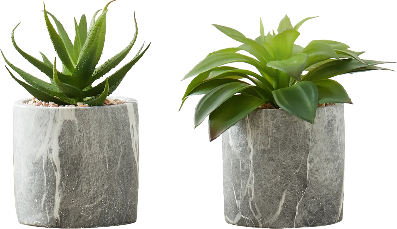 Reordan Green Artificial Succulent Plant, Set of 2