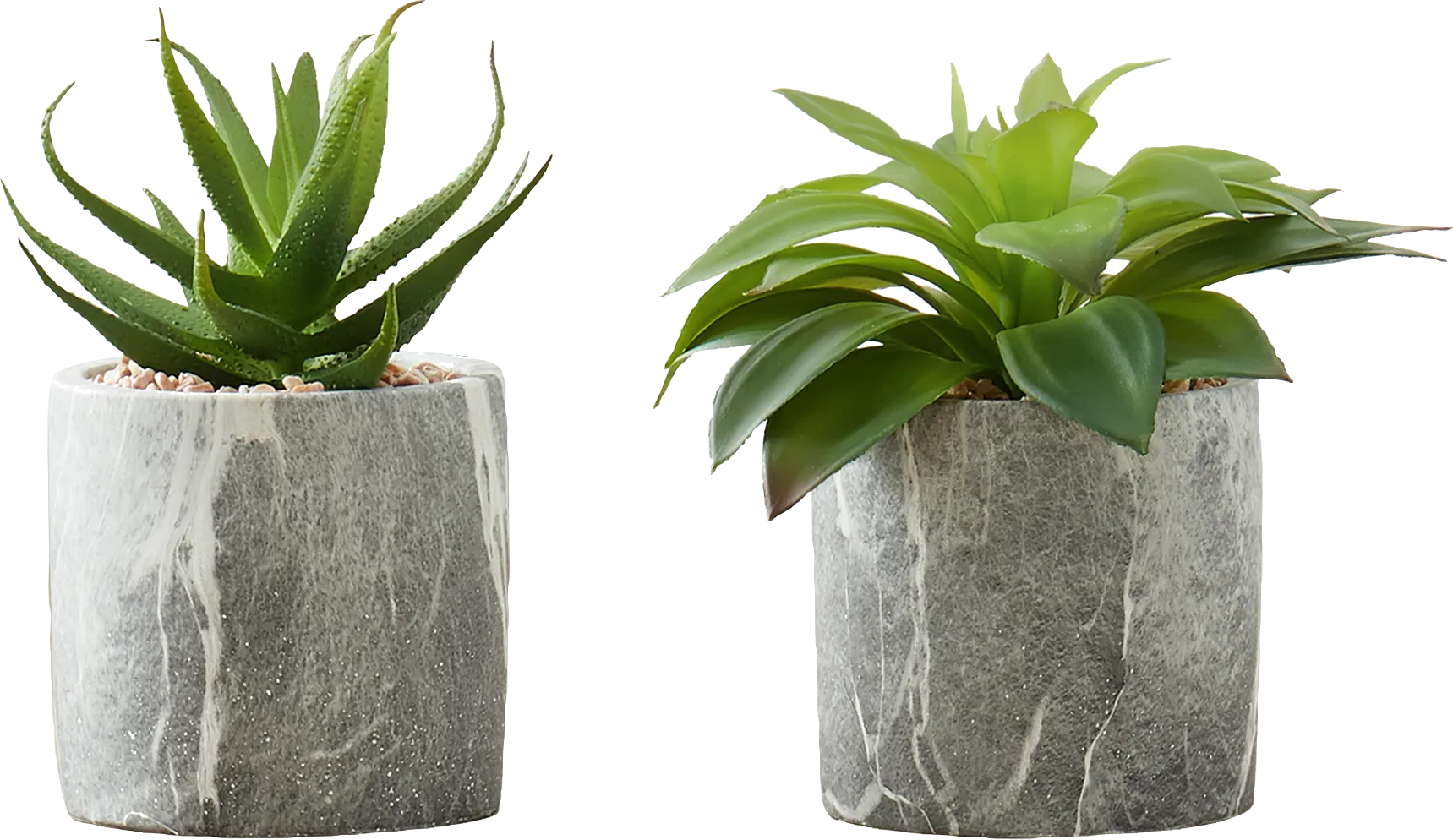 Reordan Green Artificial Succulent Plant, Set of 2 - Image 1