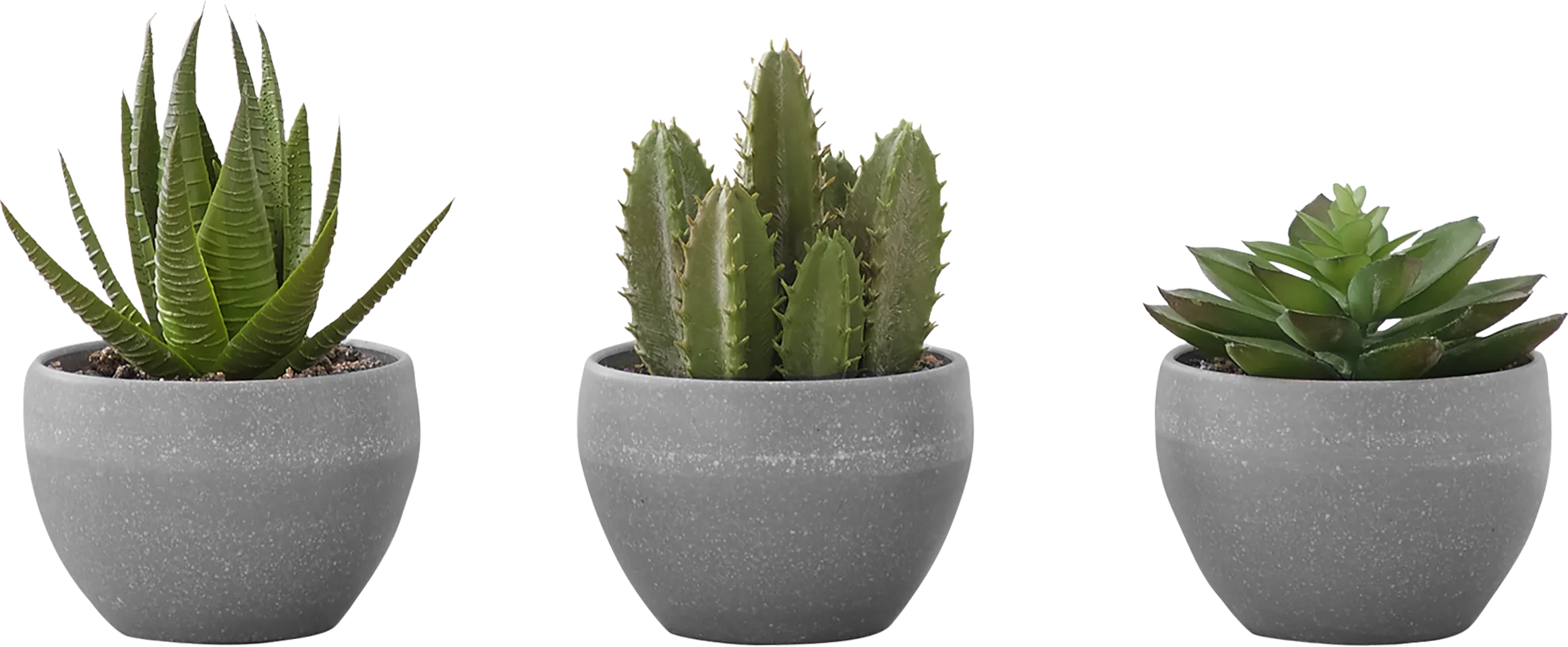 Mitscher Green Artificial Succulent Plant, Set of 3 - Thumbnail - Image 1