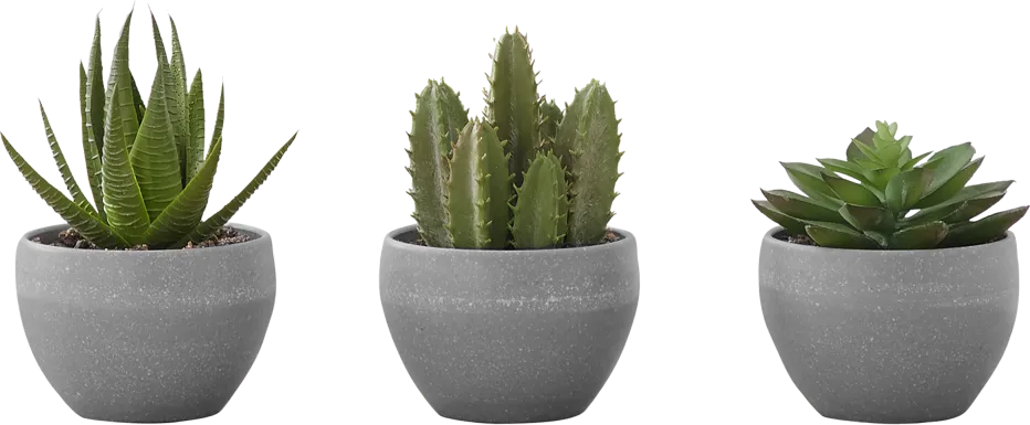 Mitscher Green Artificial Succulent Plant, Set of 3