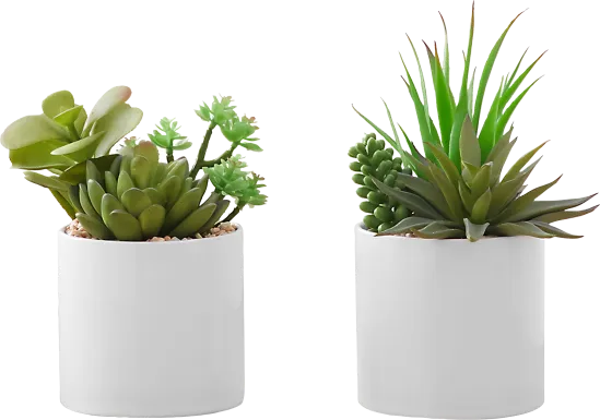 Karakara Green Artificial Succulent Plant, Set of 2
