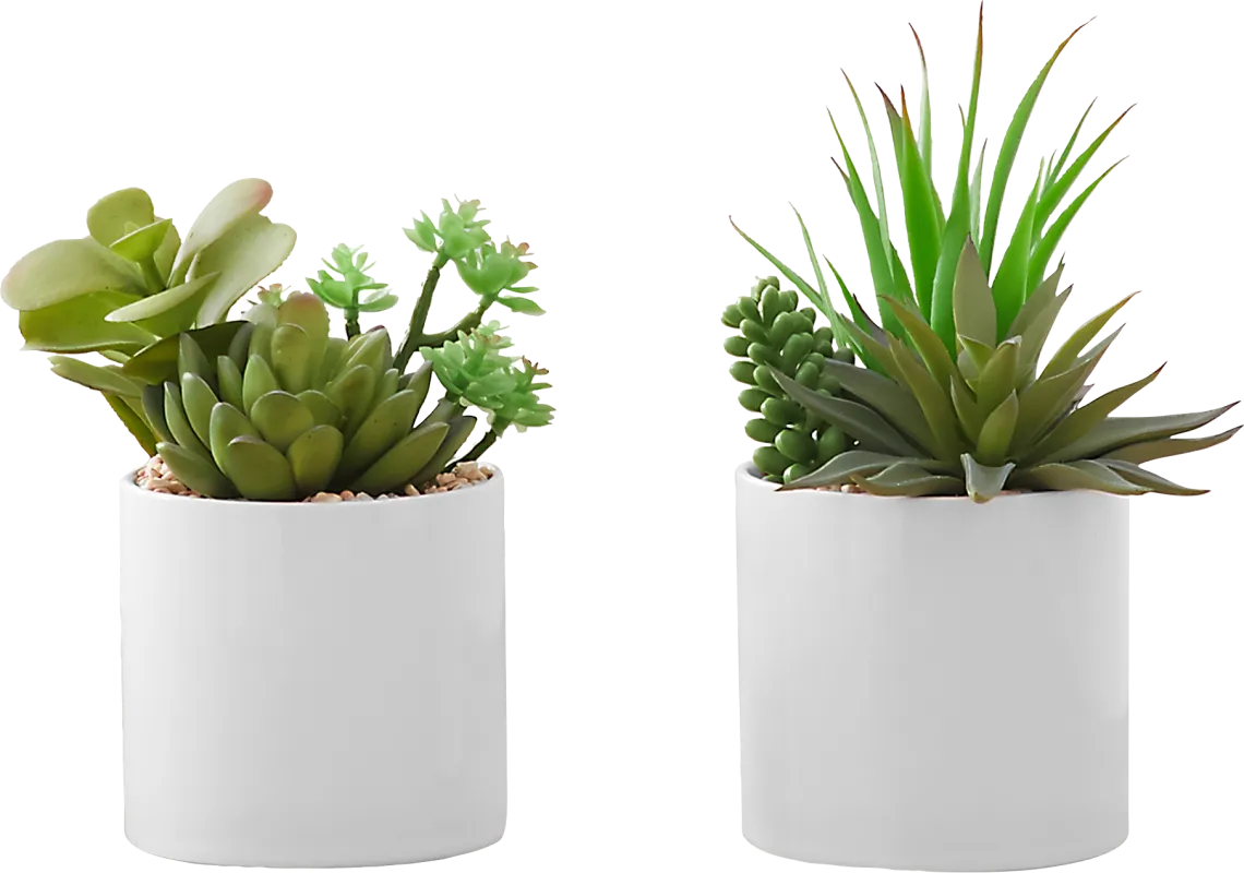 Karakara Green Artificial Succulent Plant, Set of 2