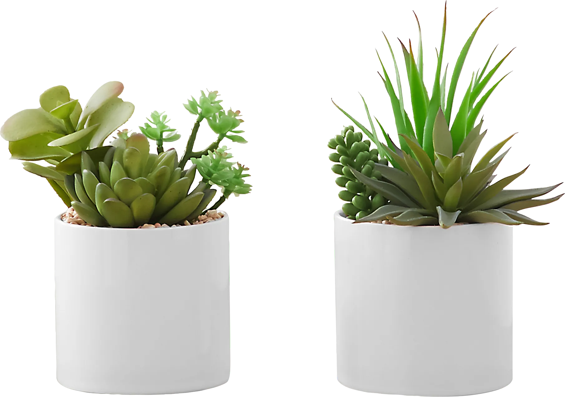 Karakara Green Artificial Succulent Plant, Set of 2 - Image 1