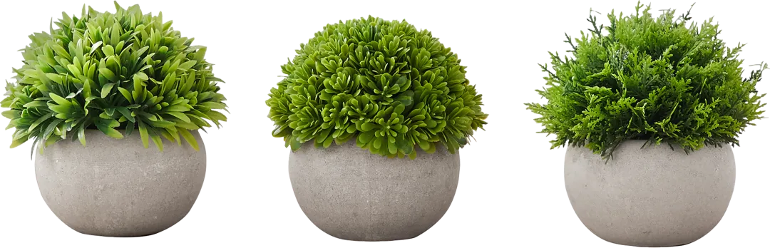 Phister Green Artificial Succulent Plant, Set of 3