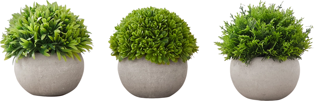 Phister Green Artificial Succulent Plant, Set of 3