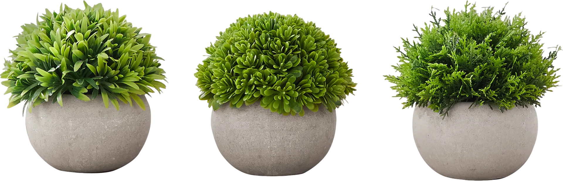 Phister Green Artificial Succulent Plant, Set of 3