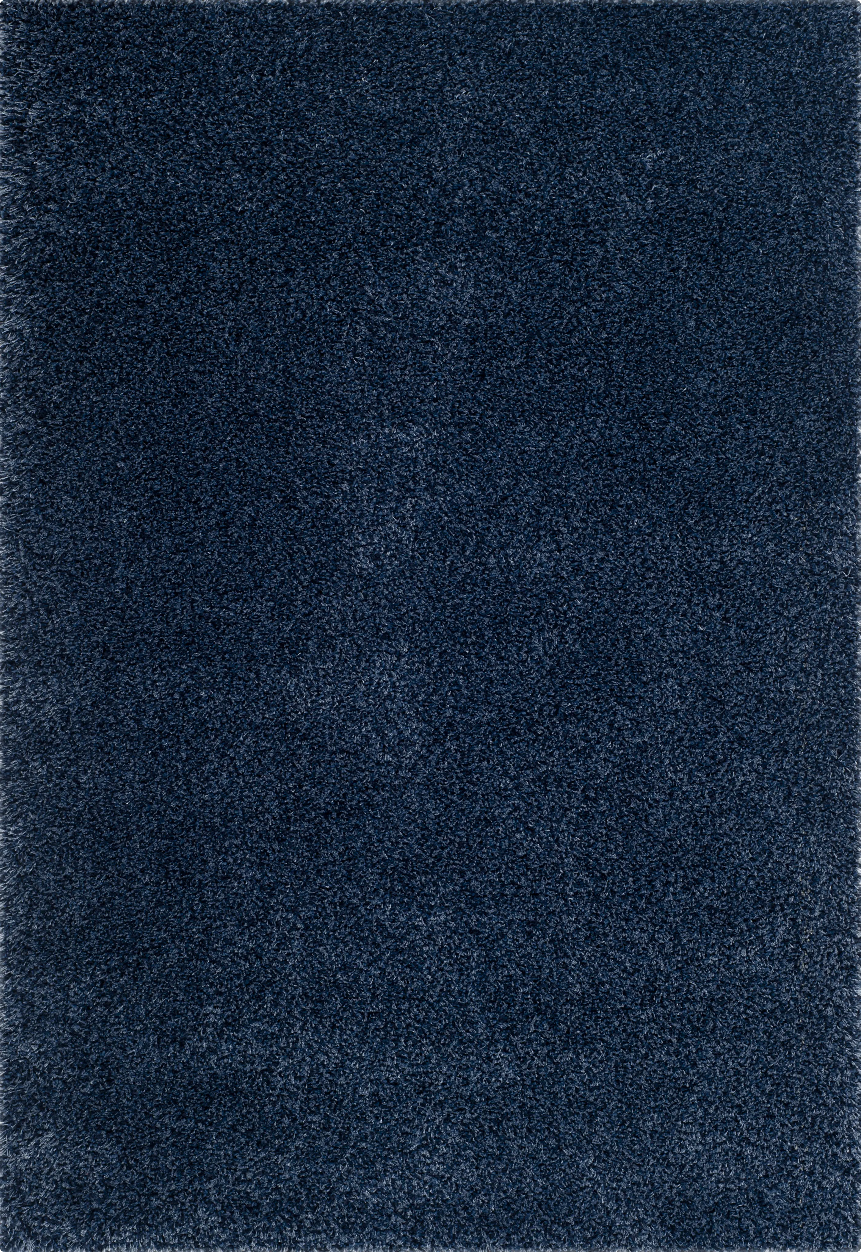 Cleona Navy 8' x 10' Rug - Thumbnail - Image 1