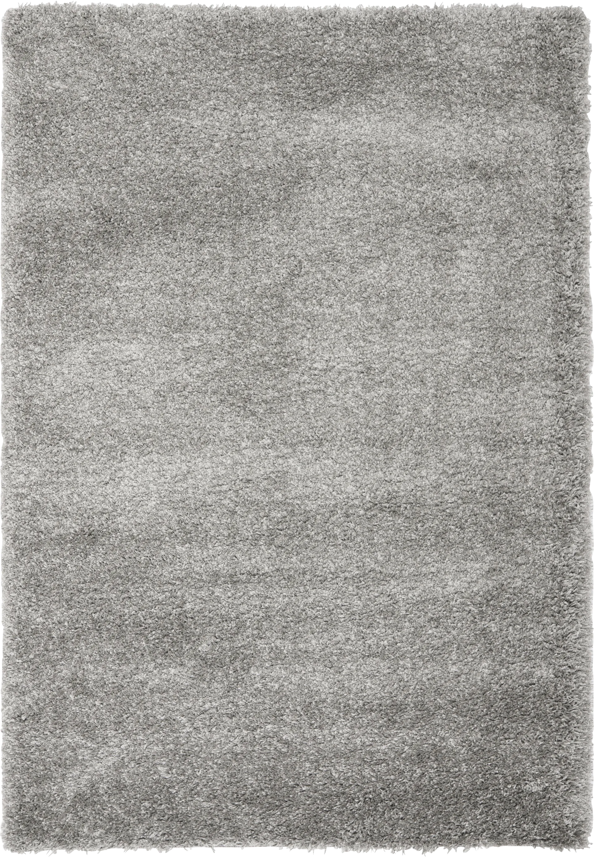 Cleona Silver 3' x 5' Rug - Image 1