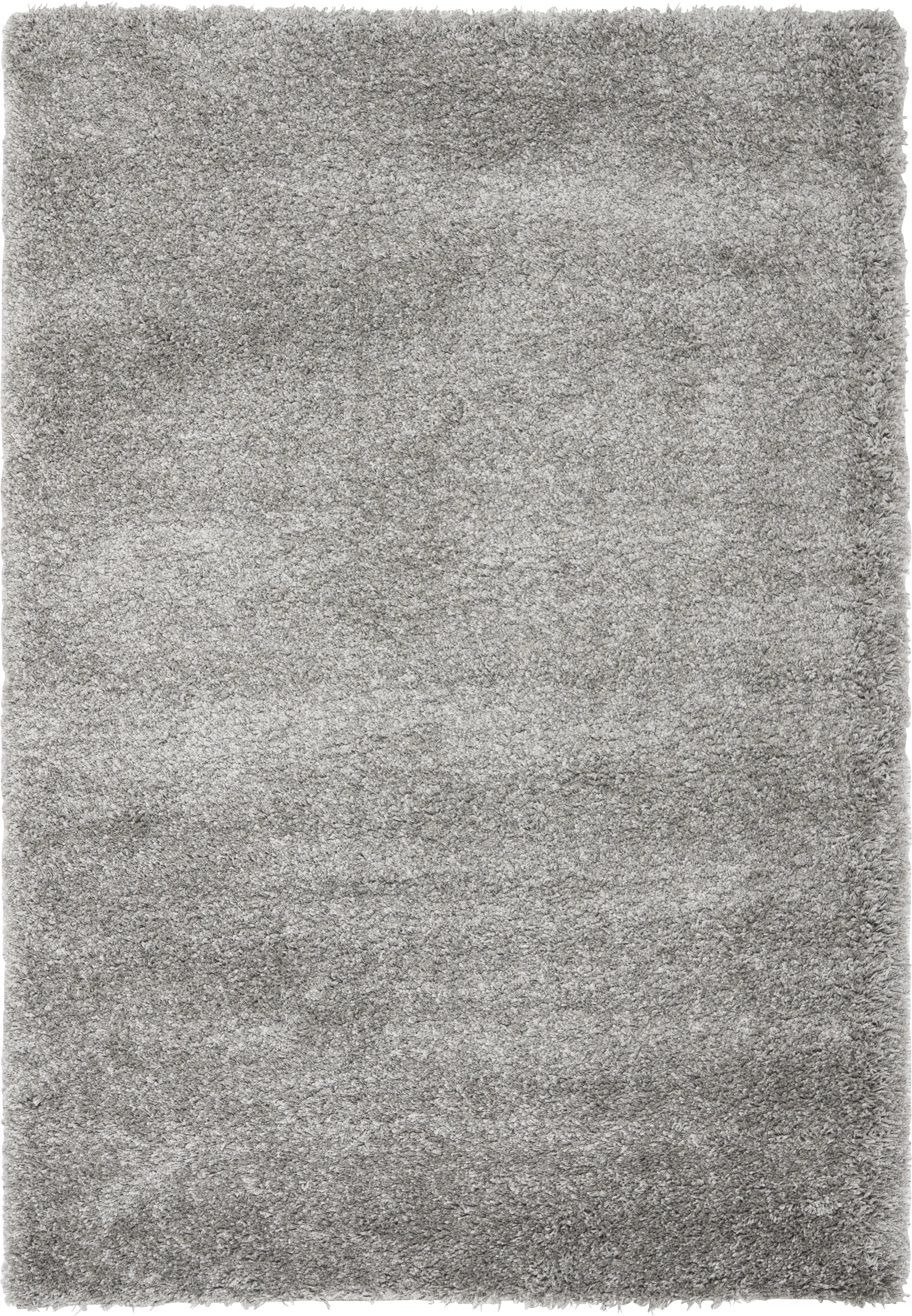 Cleona Silver 4' x 6' Rug - Thumbnail - Image 1