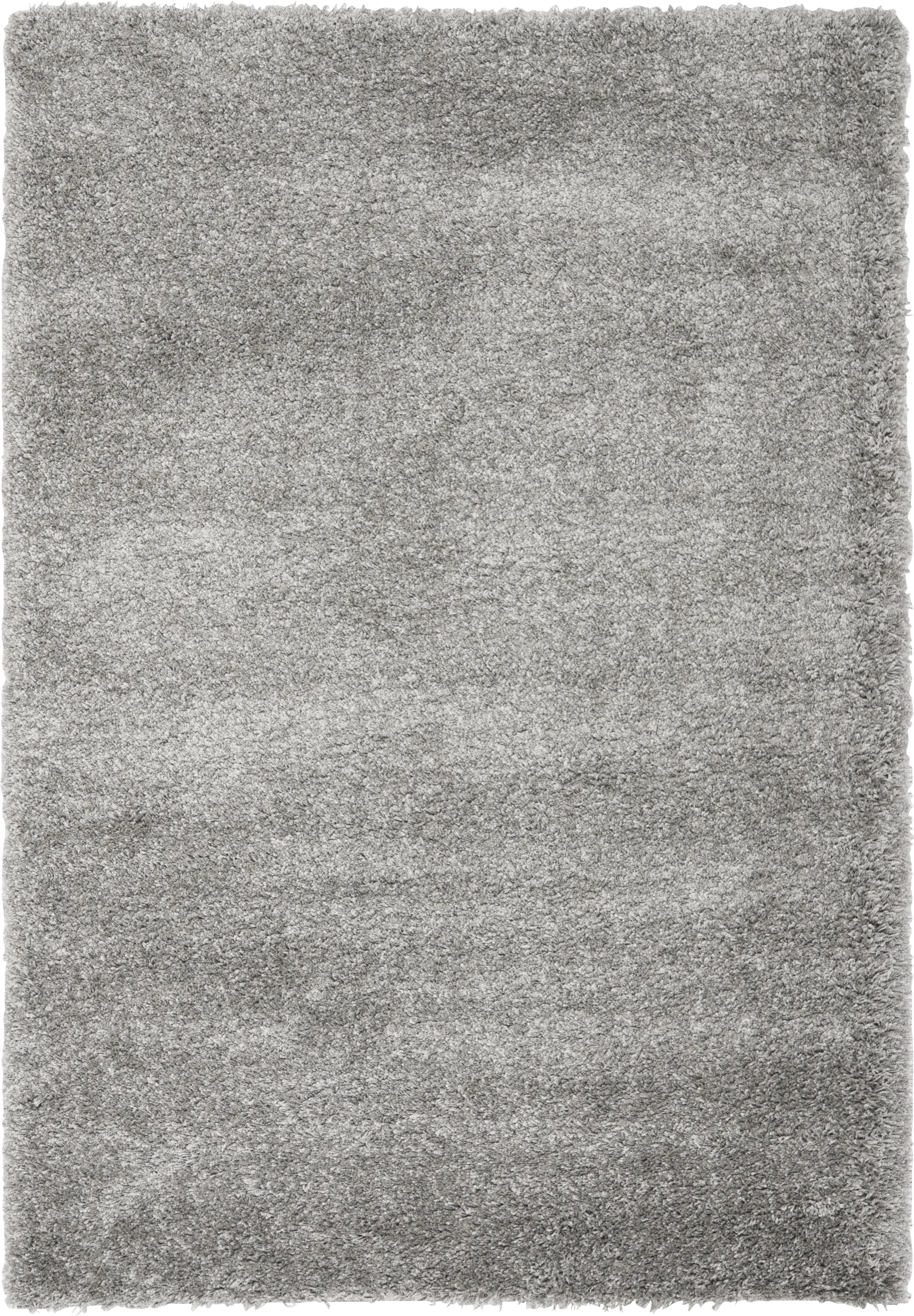 Cleona Silver 5'3 x 7'6 Rug - Image 1