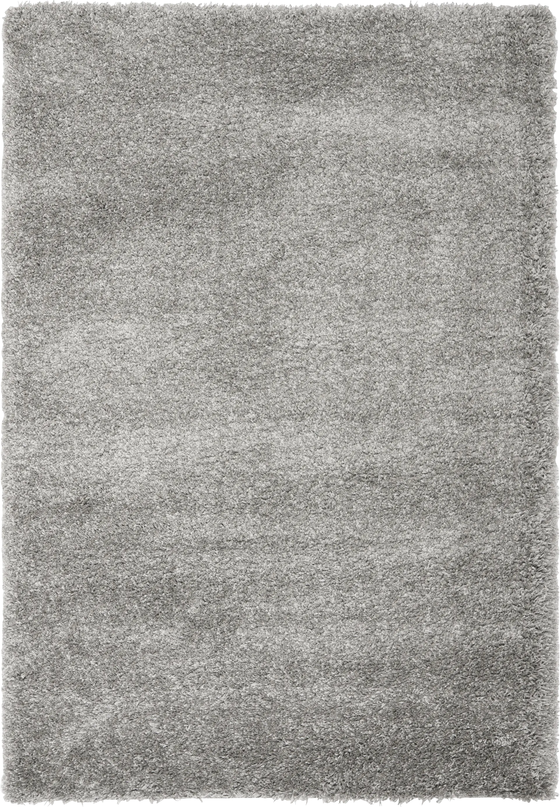 Cleona Silver 8' x 10' Rug