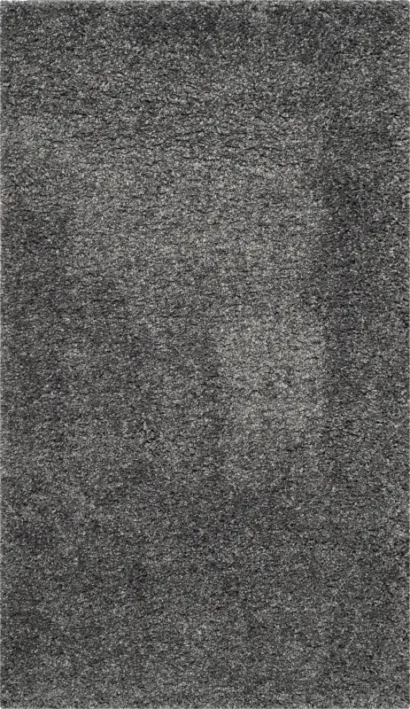 Cleona Dark Gray 4' x 6' Rug