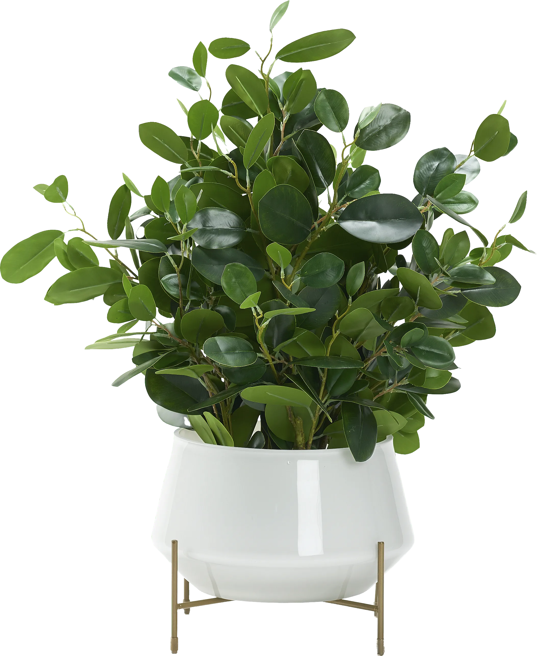 Boyar White Ficus Silk Plant