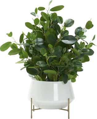 Boyar White Ficus Silk Plant