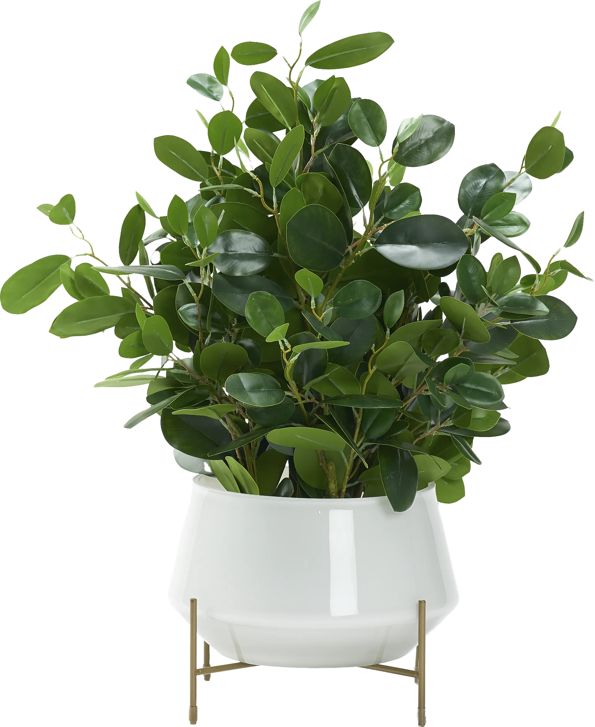 Boyar White Ficus Silk Plant - Image 1