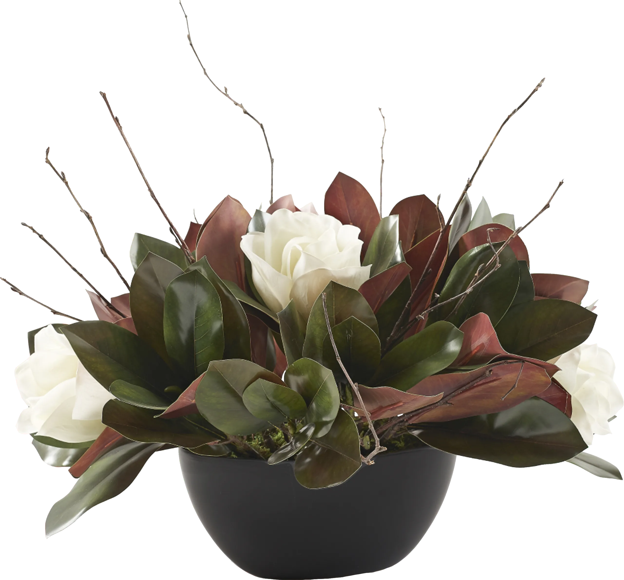 Matney Black Magnolia Silk Plant - Thumbnail - Image 1