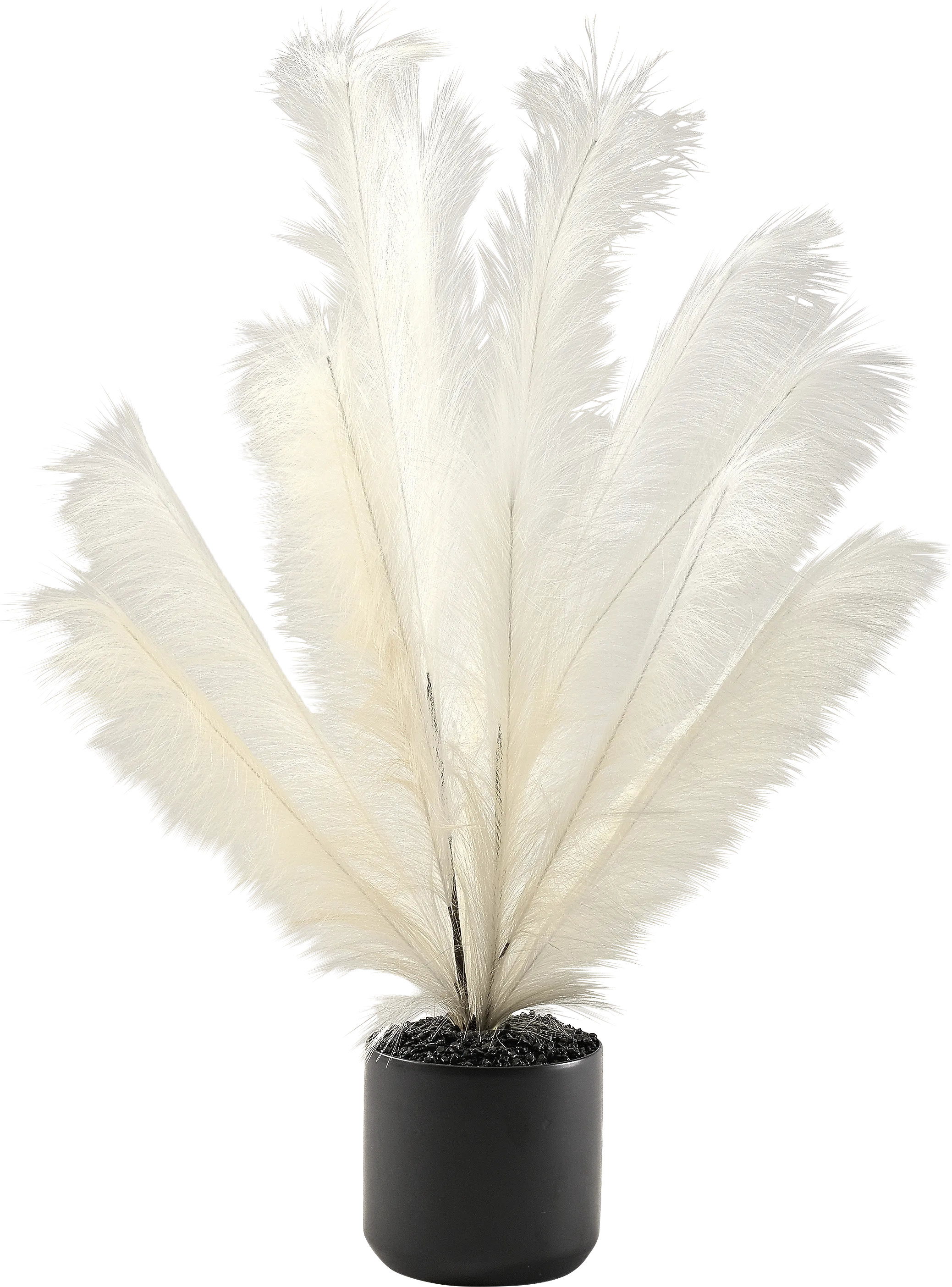 Senasac Black Plume Feathers