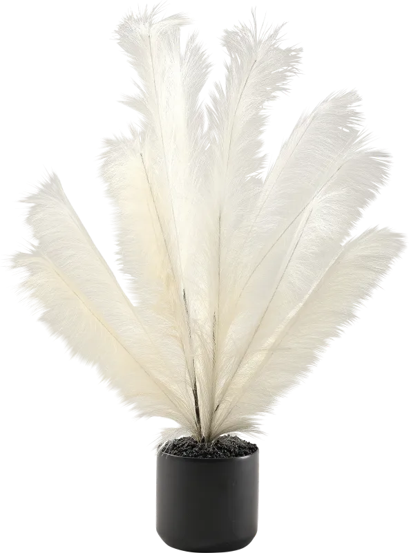 Senasac Black Plume Feathers