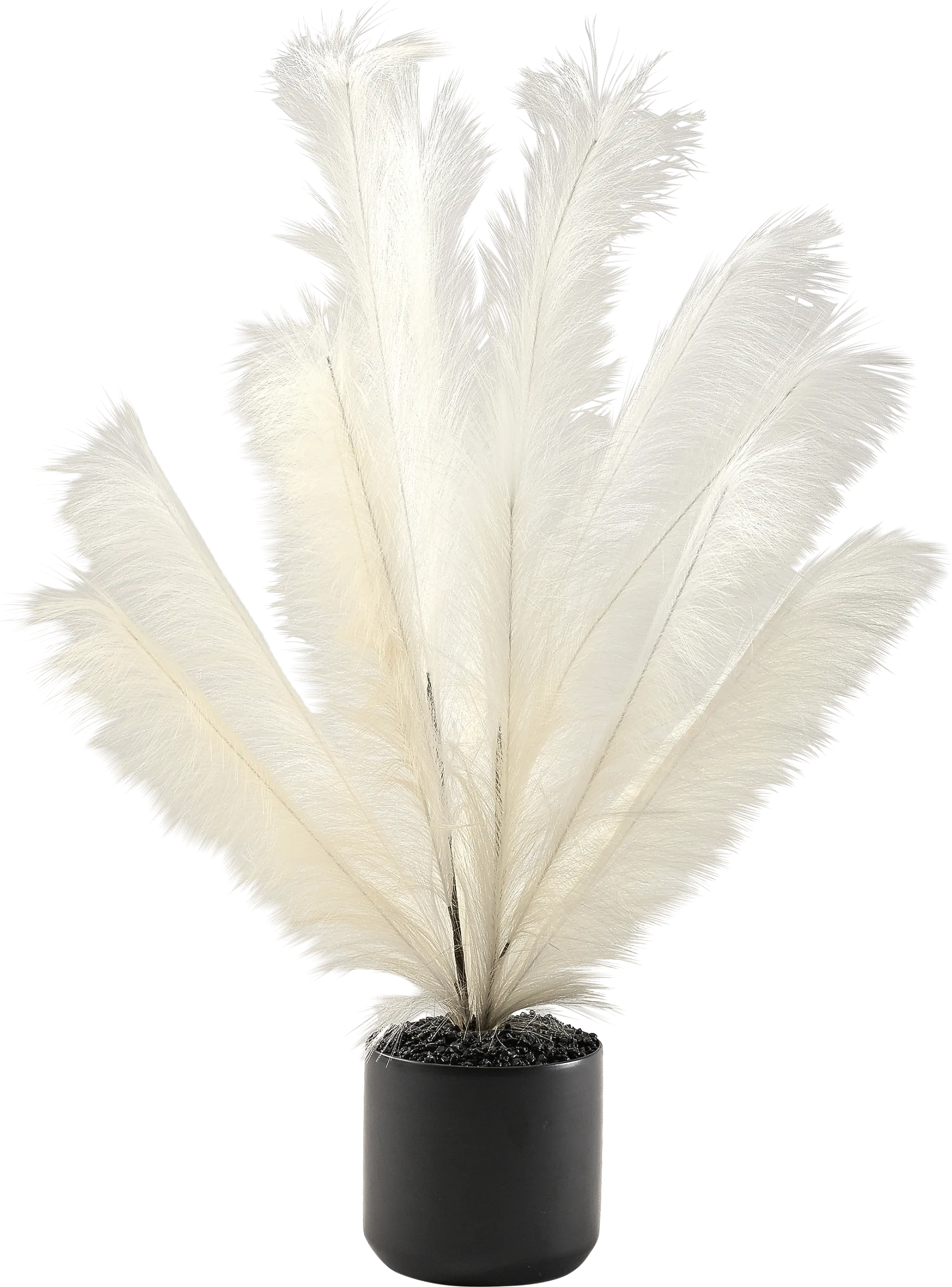 Senasac Black Plume Feathers - Image 1